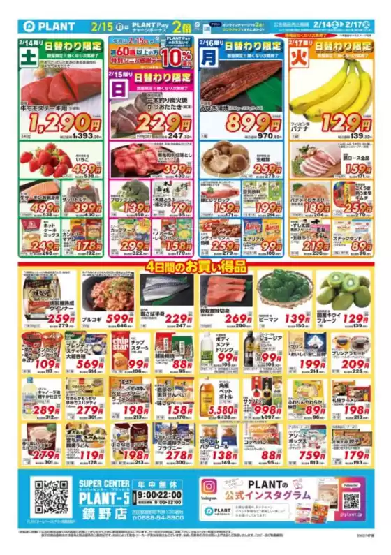 スーパーセンタープラントのカタログ | 私たちの最高の掘り出し物 | 2026-02-14T00:00:00.000Z - 2026-02-17T00:00:00.000Z