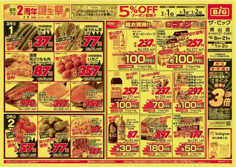 柏市でのザ・ビッグのカタログ | 私たちの最高の掘り出し物 | 2026-03-01T00:00:00.000Z - 2026-03-02T00:00:00.000Z