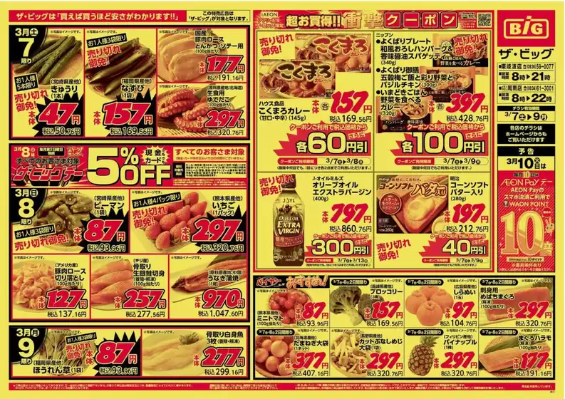 東大阪市でのザ・ビッグのカタログ | すべてのお客様のための素晴らしいオファー | 2026-03-07T00:00:00.000Z - 2026-03-09T00:00:00.000Z