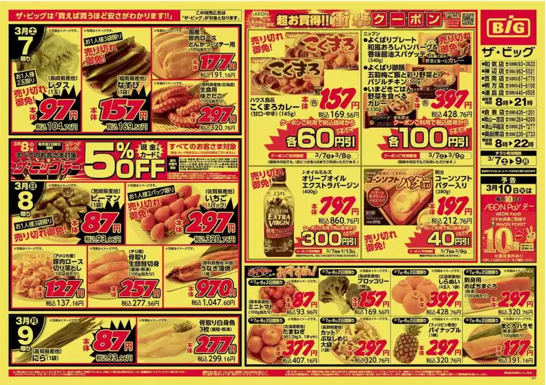 東大阪市でのザ・ビッグのカタログ | 排他的な取引と掘り出し物 | 2026-03-07T00:00:00.000Z - 2026-03-09T00:00:00.000Z