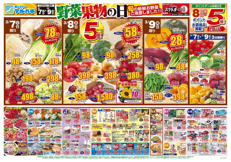 堺市でのマルハチのカタログ | 2026年03月07日-09日 | 2026-03-06T00:00:00.000Z - 2026-03-09T00:00:00.000Z