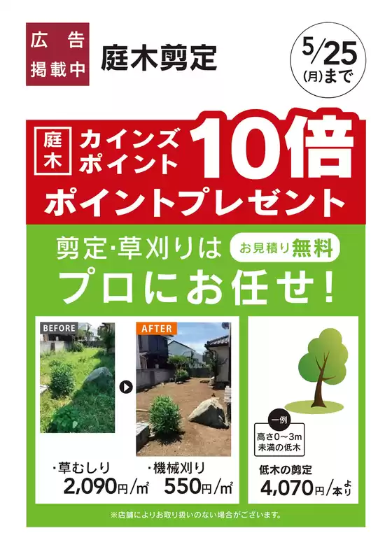 東京都でのカインズホームのカタログ | 庭木剪定 | 2026-03-09T00:00:00.000Z - 2026-03-19T00:00:00.000Z