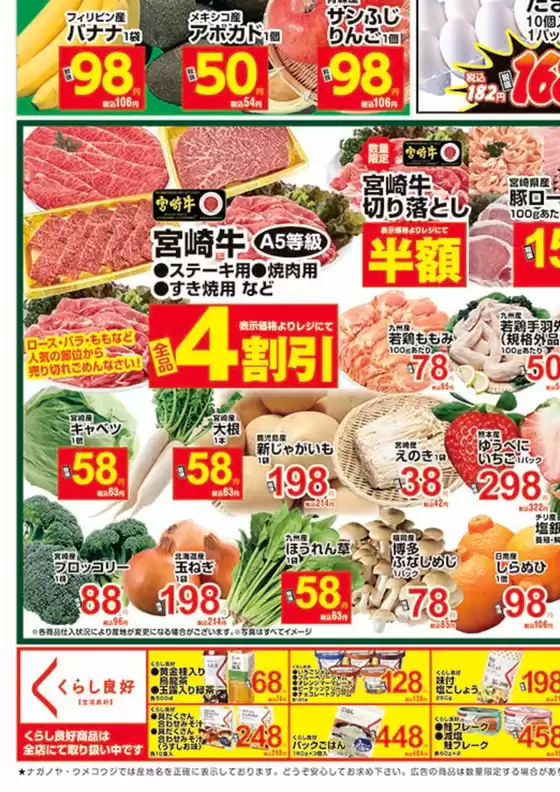 川崎市でのNAGANOYAのカタログ | 現在の取引とオファー | 2026-03-13T00:00:00.000Z - 2026-03-27T00:00:00.000Z