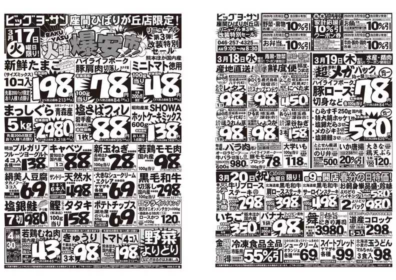 ビッグヨーサンのカタログ | あなたのための特別オファー | 2026-03-17T00:00:00.000Z - 2026-03-20T00:00:00.000Z