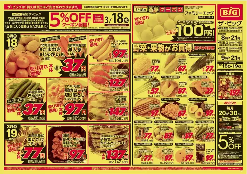 小美玉市でのザ・ビッグのカタログ | あなたのための特別オファー | 2026-03-18T00:00:00.000Z - 2026-03-19T00:00:00.000Z