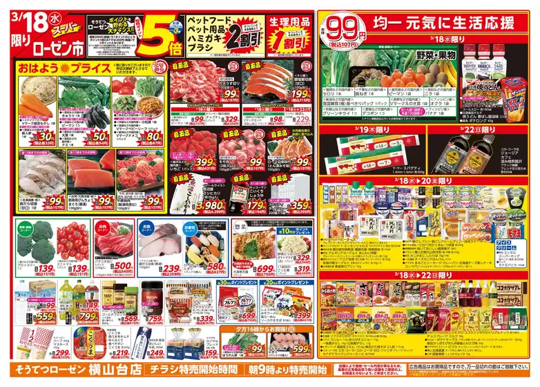 野洲市での相鉄ローゼンのカタログ | 掘り出し物ハンターのための素晴らしいオファー | 2026-03-17T00:00:00.000Z - 2026-03-22T00:00:00.000Z