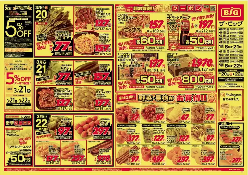 岡崎市でのザ・ビッグのカタログ | すべての人のための魅力的な特別オファー | 2026-03-20T00:00:00.000Z - 2026-03-22T00:00:00.000Z