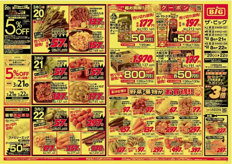 岡崎市でのザ・ビッグのカタログ | 排他的な掘り出し物 | 2026-03-20T00:00:00.000Z - 2026-03-22T00:00:00.000Z