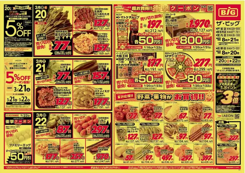 岡崎市でのザ・ビッグのカタログ | 魅力的なオファーを発見する | 2026-03-20T00:00:00.000Z - 2026-03-22T00:00:00.000Z