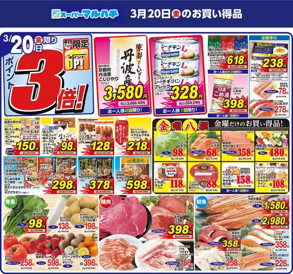 台東区でのマルハチのカタログ | 2026年03月20日 | 2026-03-19T00:00:00.000Z - 2026-03-20T00:00:00.000Z