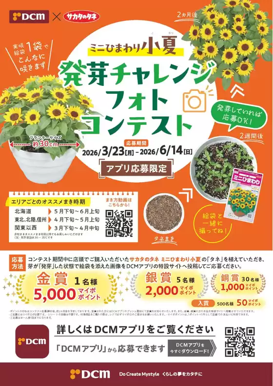 岸和田市でのDCMのカタログ | DCM チラシ | 2026-03-23T00:00:00.000Z - 2026-06-14T00:00:00.000Z