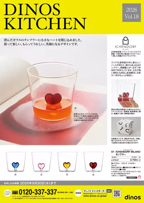 main_flyer image