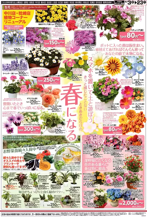 ニシムタのカタログ | 現在の特別プロモーション | 2026-04-04T00:00:00.000Z - 2026-04-23T00:00:00.000Z