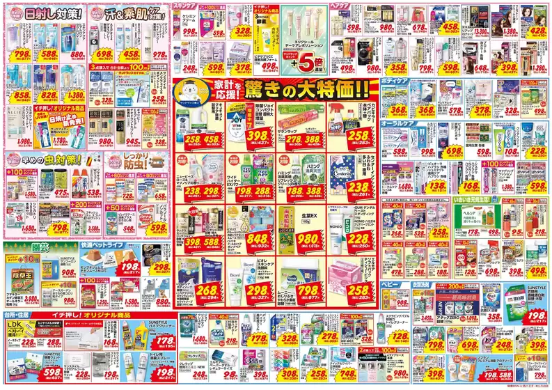 main_flyer image