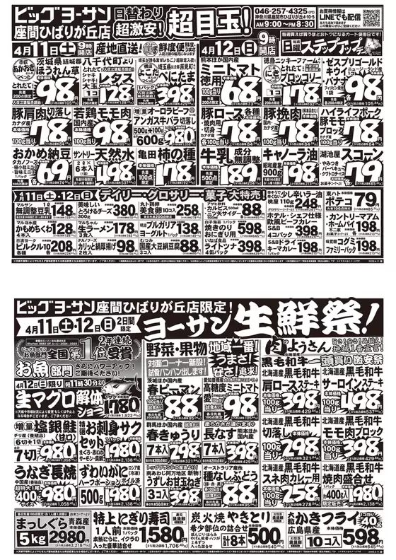 ビッグヨーサンのカタログ | 私たちのお客様のための排他的な取引 | 2026-04-11T00:00:00.000Z - 2026-04-12T00:00:00.000Z