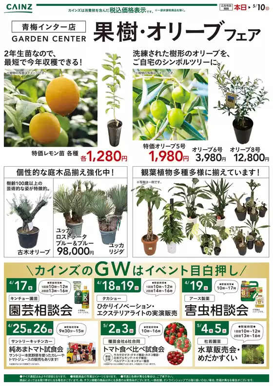 カインズホームのカタログ | 果樹オリーブフェア | 2026-04-14T00:00:00.000Z - 2026-05-10T00:00:00.000Z