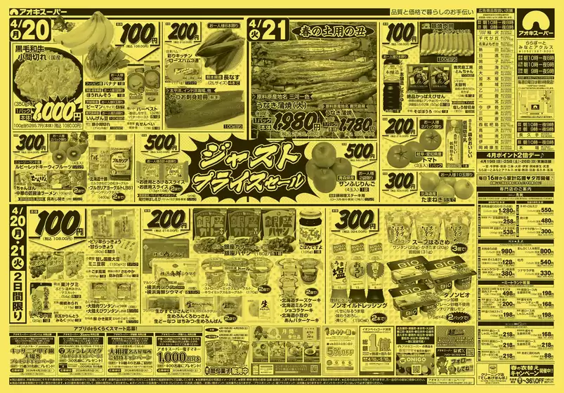 main_flyer image