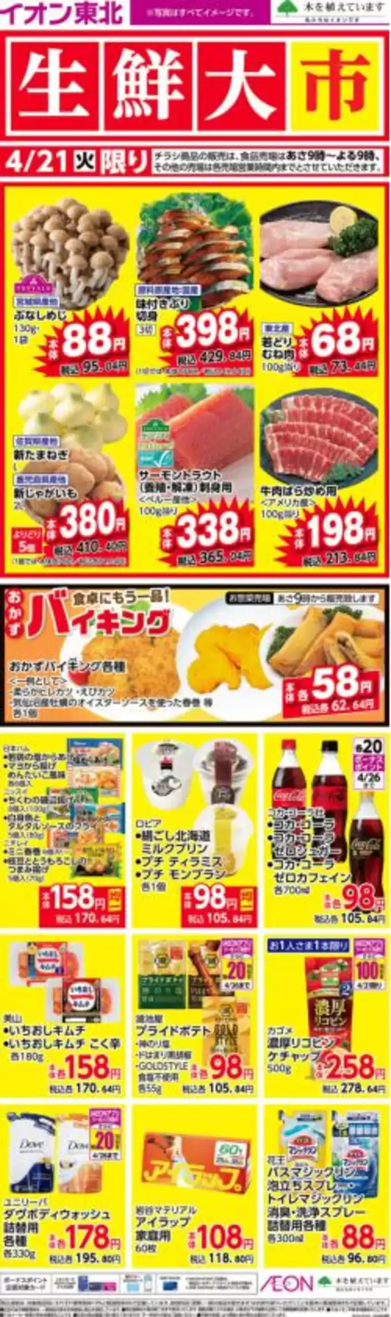 main_flyer image