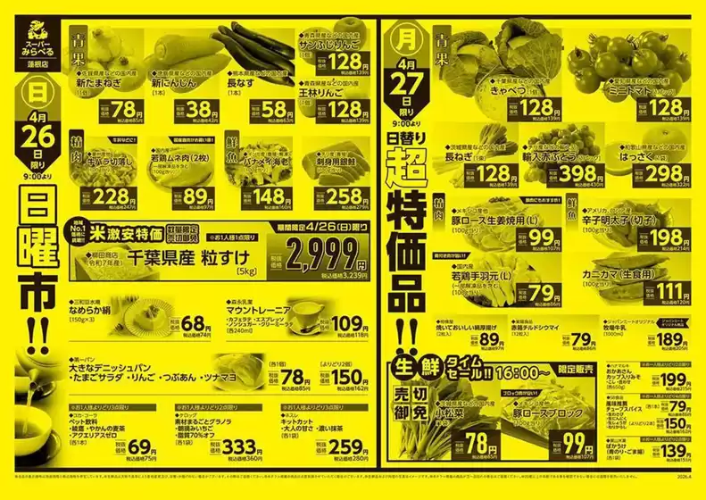 main_flyer image