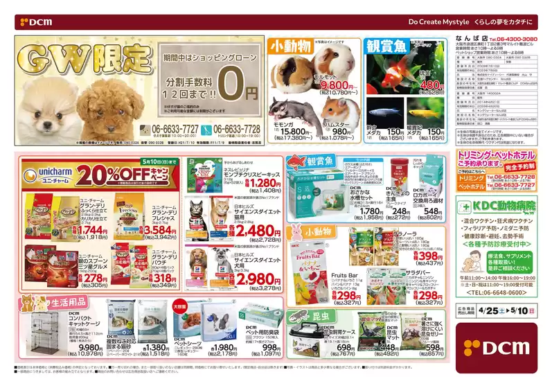 main_flyer image