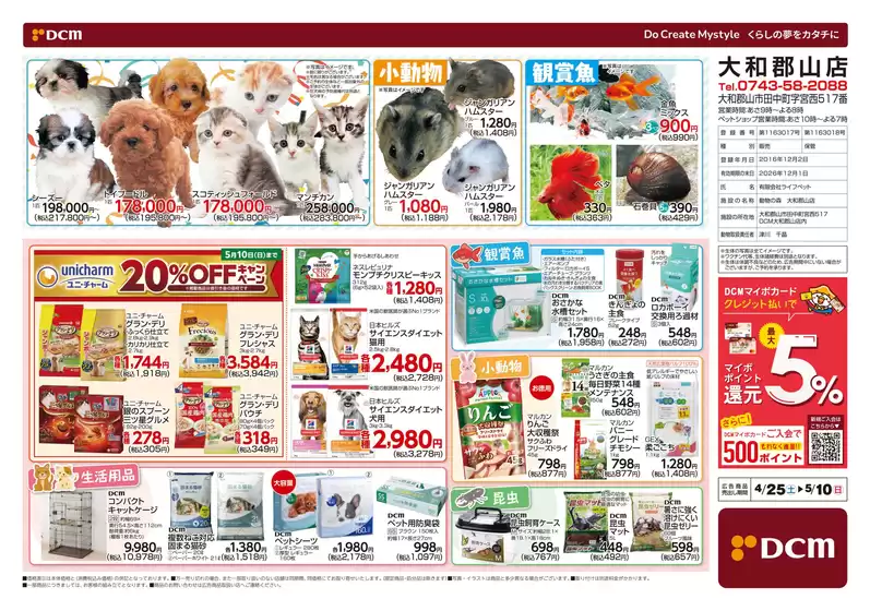 main_flyer image