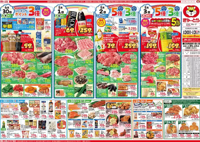main_flyer image