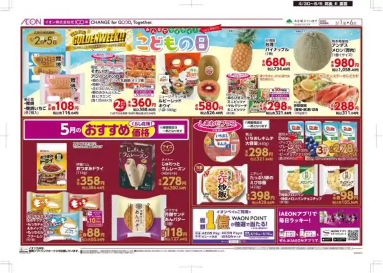main_flyer image