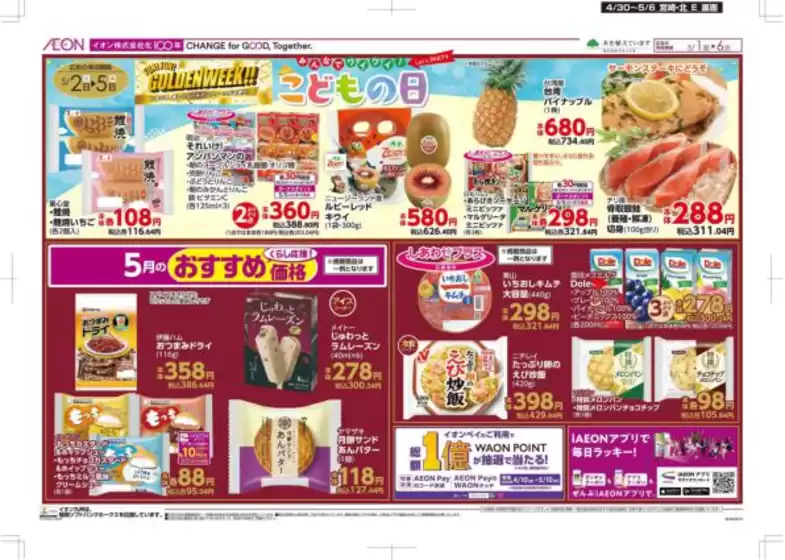 main_flyer image