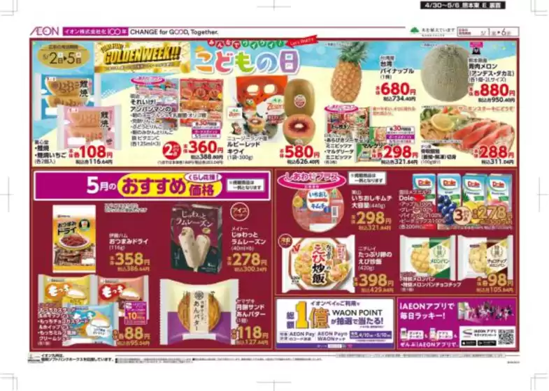 main_flyer image