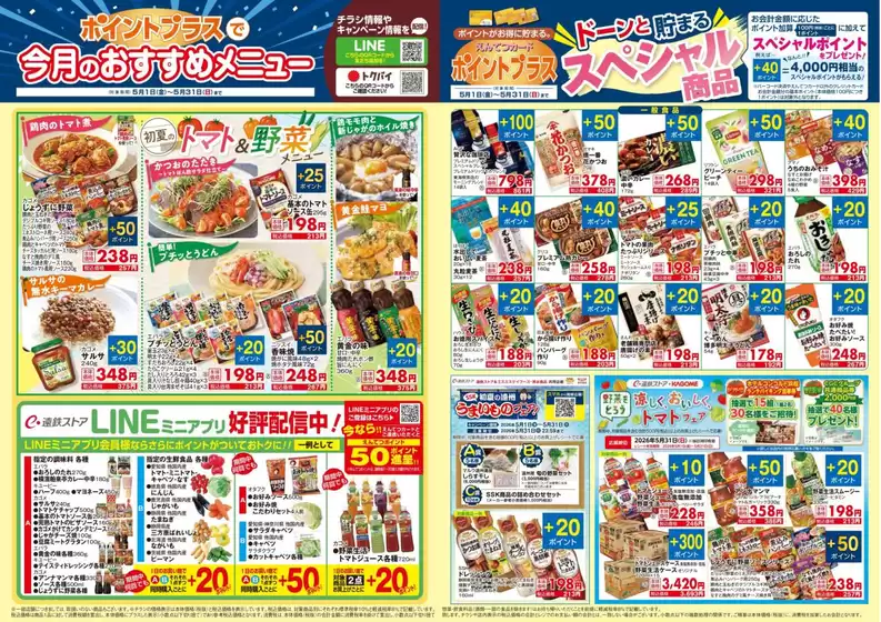 main_flyer image