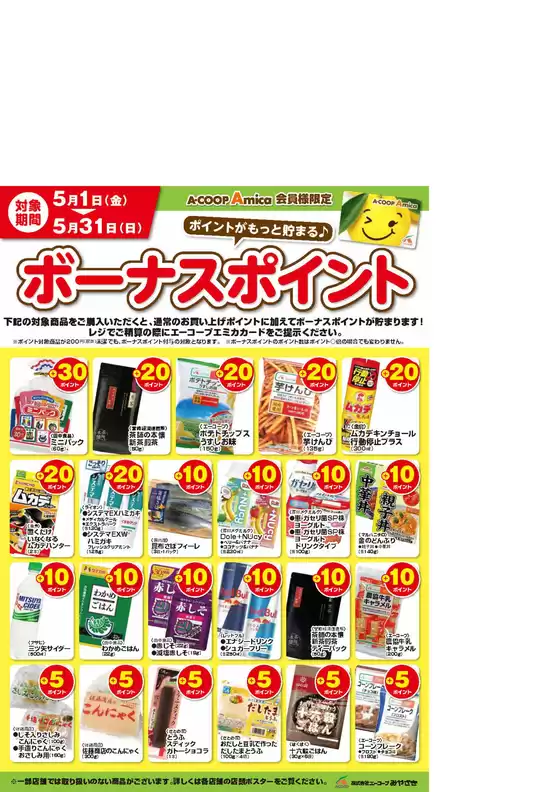 main_flyer image