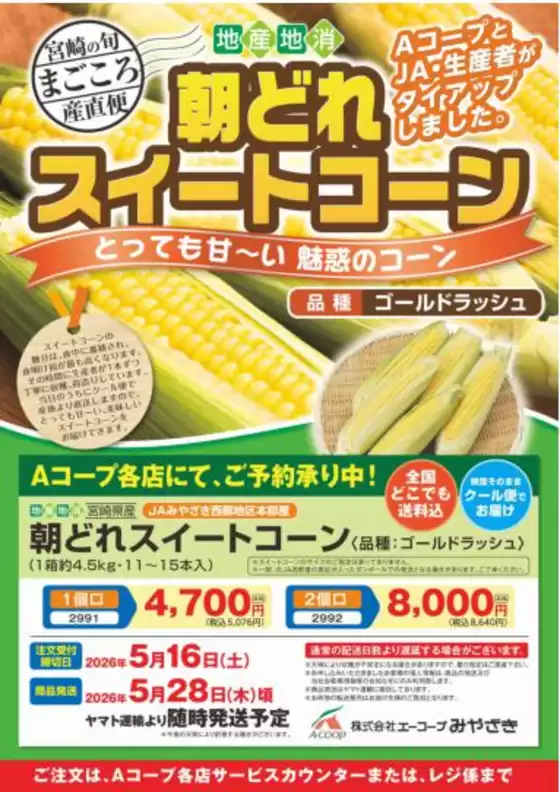 エーコープみやざきのカタログ | 今すぐ私たちの取引で節約 | 2026-05-01T00:00:00.000Z - 2026-05-16T00:00:00.000Z