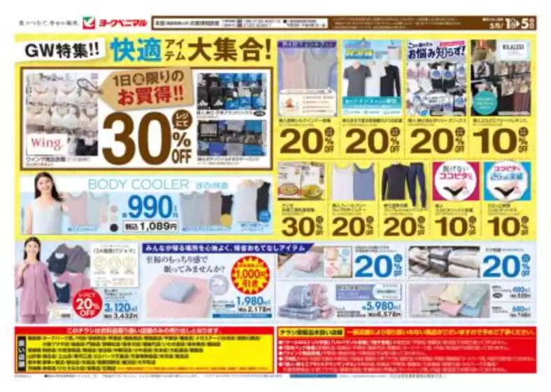 main_flyer image