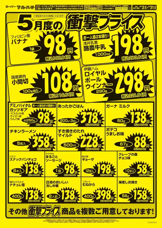 main_flyer image