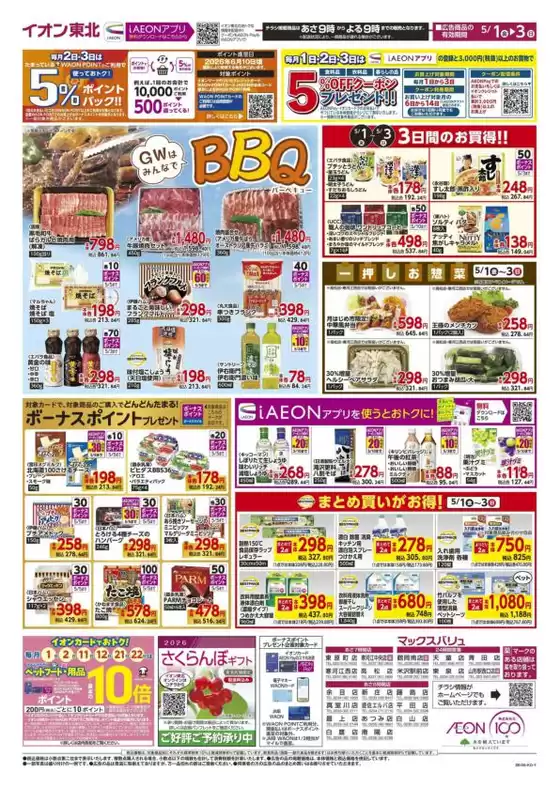 main_flyer image
