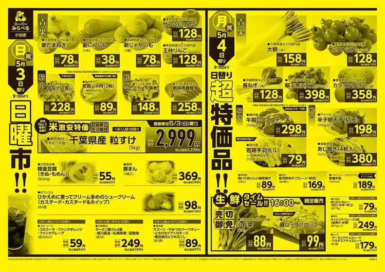 main_flyer image