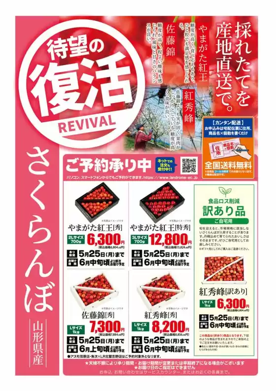 ランドロームのカタログ | 掘り出し物ハンターのためのオファー | 2026-05-01T00:00:00.000Z - 2026-05-25T00:00:00.000Z