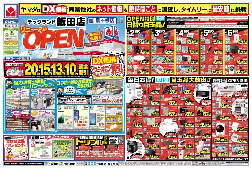 main_flyer image