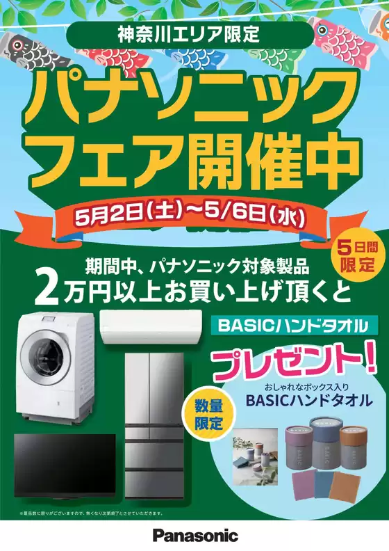main_flyer image
