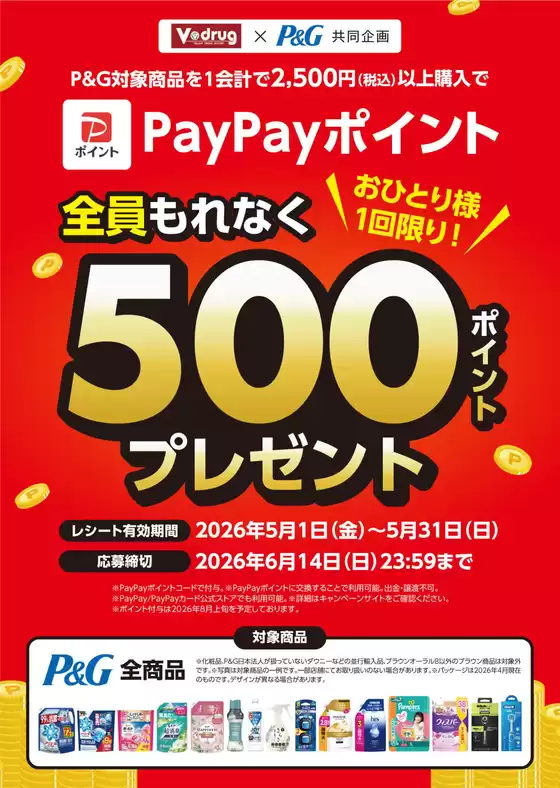 main_flyer image
