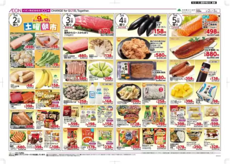 main_flyer image