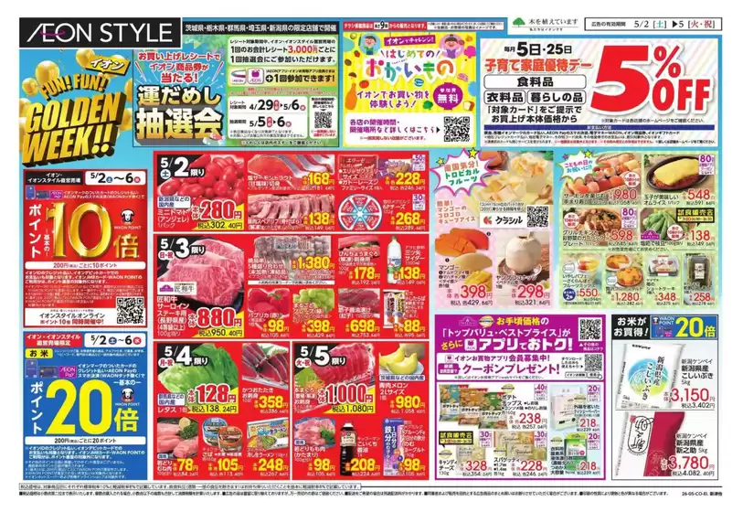 main_flyer image