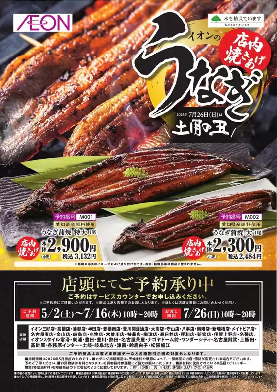 main_flyer image