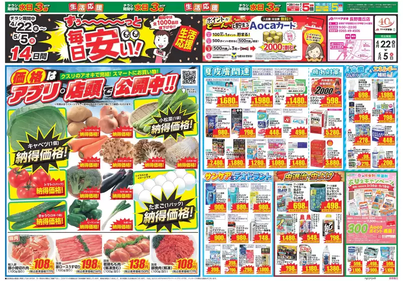 main_flyer image