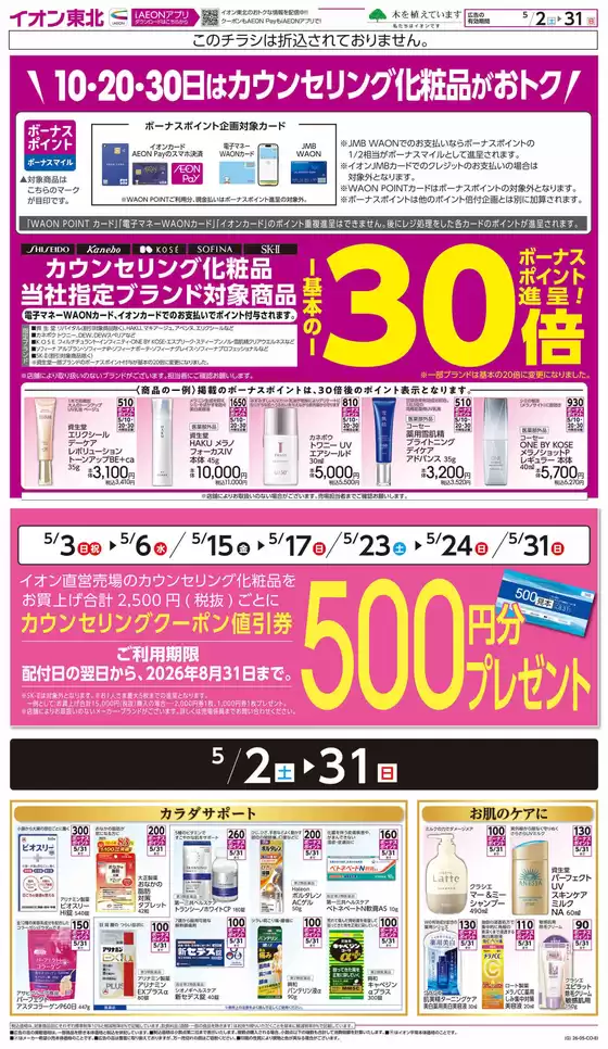 main_flyer image