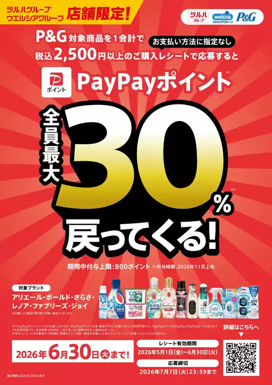 ハッピードラッグのカタログ | PG PayPayポイント 30還元 | 2026-04-30T00:00:00.000Z - 2026-06-30T00:00:00.000Z