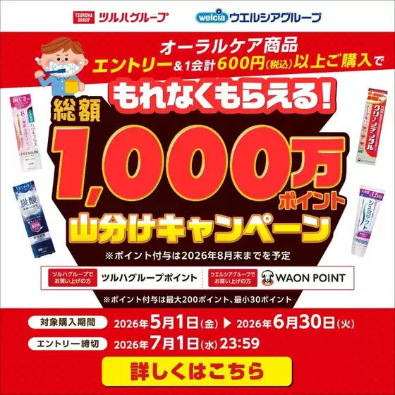 ウェルネスのカタログ | 51630 ウェルネス オーラルポイント山分けキャンペーン | 2026-04-30T00:00:00.000Z - 2026-06-30T00:00:00.000Z