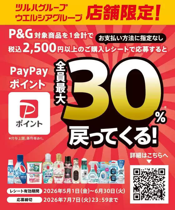 ウェルネスのカタログ | 51630 ウェルネス PG衣食住洗剤PayPay30還元キャンペーン | 2026-04-30T00:00:00.000Z - 2026-06-30T00:00:00.000Z