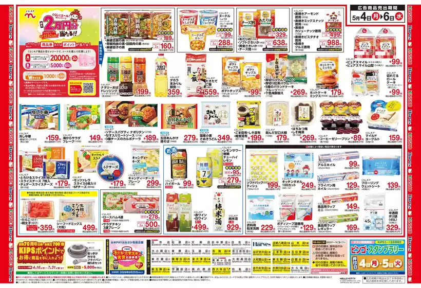 main_flyer image