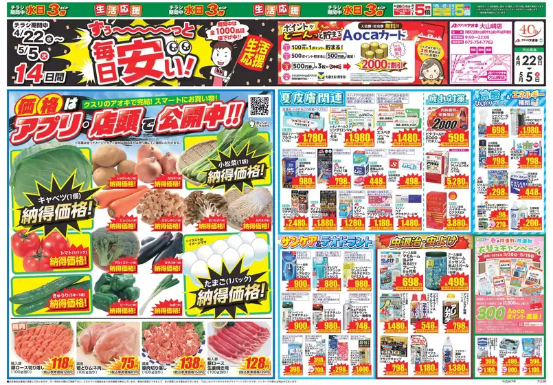 main_flyer image